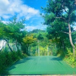 캠핏 | 포천 청계호수자작나무숲캠핑장 | 14번(데크)