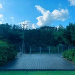 캠핏 | 포천 청계호수자작나무숲캠핑장 | 05번(데크)