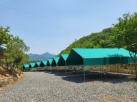 캠핏 | 상순네 오토캠핑장 | A존(애견불가)