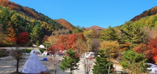 캠핏 | 평창 용골송어와캠핑 | 뒷마당여울