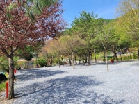 캠핏 | 영월 청산캠프 | D구역