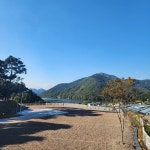 캠핏 | 초록여울캠핑장 | C구역(파쇄석 개별화장실)