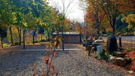 캠핏 | 마중펜션캠핑장 | 나동