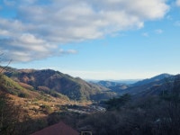 캠핏 | 월강캠프 | A11