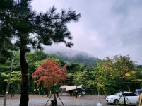 캠핏 | 양양 오색산새소리캠핑장 | 물소리존(파쇄석)🏞