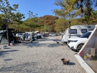 캠핏 | 알멕스랜드 | S블럭