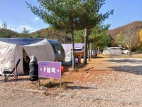 캠핏 | 알멕스랜드 | F블럭