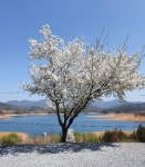 캠핏 | 청풍호반 오토캠핑장 | C구역