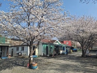 캠핏 | 산내별빛오토캠핑장