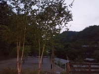 캠핏 | 춘천 문배골캠핑장