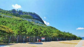 캠핏 | 대풍바위 오토캠핑장 | 마운틴뷰