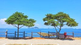 캠핏 | 대풍바위 오토캠핑장 | 오션뷰