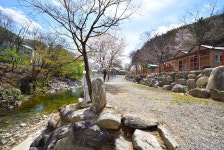 캠핏 | 물의나라 캠핑장 | 5구역