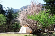 캠핏 | 서종힐링캠핑장