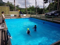 캠핏 | 울산 더캠프(The Camp)