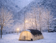 캠핏 | 을전56오토캠핑장