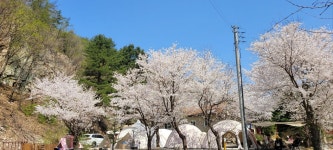 캠핏 | 양평 갈기산펜션 캠핑장 | E3