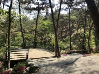 캠핏 | 올레유 | 숲속데크 1단지 5*6