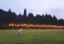 캠핏 | 양주 감악산 캠핑장 | A사이트 일반사이트