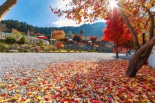 캠핏 | 캠프스테이