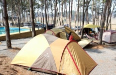 캠핏 | 서천늘푸른캠핑장 | 파쇄석