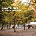 캠핏 | 영월 외룡캠핑장 | 파쇄존 11-12