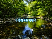캠핏 | 푸른숲캠핑장