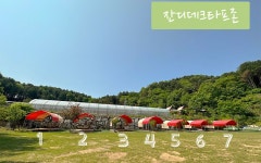 캠핏 | 녹천캠핑장 | 잔디타프데크사이트