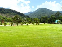 캠핏 | 동학사힐링캠핑장 | *A2*/차박불가