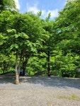 캠핏 | 금방아 민박 캠핑장 | B 사이트