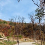 캠핏 | 용인자연숲캠핑장 | 2사이트