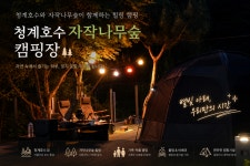 캠핏 | 포천 청계호수자작나무숲캠핑장