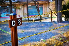 캠핏 | 서대산드림캠핑파크&오토캠핑 | D-ZONE 3