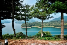 캠핏 | 충주 스위스 캠핑장