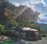 캠핏 | 숲에안기다 | B ZONE