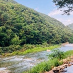 캠핏 | 노문 야영장