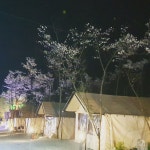 캠핏 | 백운썬밸리캠핑장(개별화장실) | 19