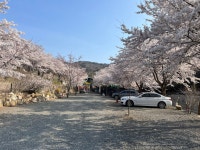 캠핏 | 천문대별빛정원