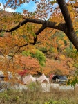 캠핏 | 천문대별빛정원 | 해왕성