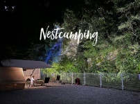 캠핏 | 네스트 캠핑장