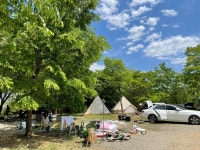 캠핏 | 연천 평화강변 수목캠핑장 | 오토캠핑 사이트