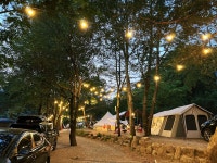 캠핏 | 영월 느티나무 캠핑장 | 느티라인 캠핏 | 영월 느티나무 캠핑장 | 느티라인 