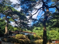 캠핏 | 봉화 각화산캠핑장 | 캠핑가능한 민박존