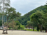 캠핏 | 가평 쉼 캠핑장 | 자작나무 존 (1~12)