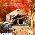 캠핏 | 춘천숲자연휴양림 캠핑장