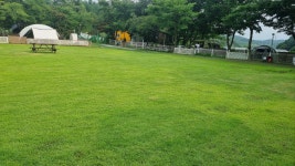 캠핏 | 라포레애견캠핑장 | 달님