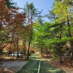 캠핏 | 양주 천보wellness캠핑장 | A동 한가족사이트 2박가능