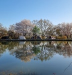 캠핏 | 우니메이카 강화점