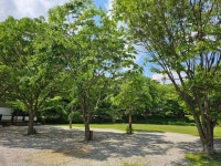 캠핏 | 넓은마당 캠핑장 | 작은마당 파쇄석