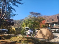 캠핏 | 포천 딥포레스트캠핑장